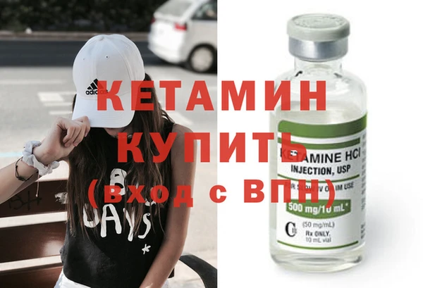 соль ск Дмитриев