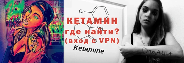 соль ск Дмитриев