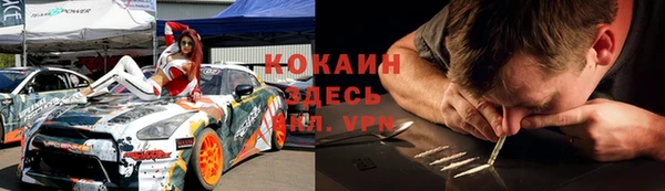соль ск Дмитриев