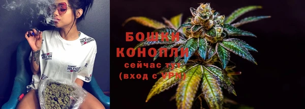 соль ск Дмитриев