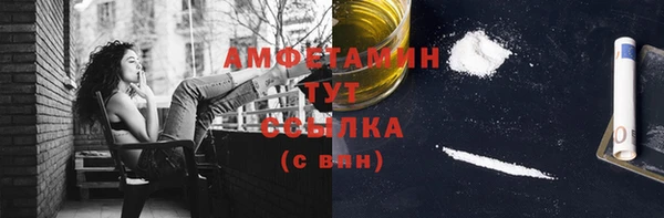 соль ск Дмитриев