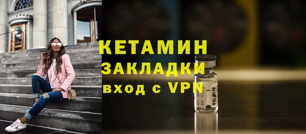 соль ск Дмитриев