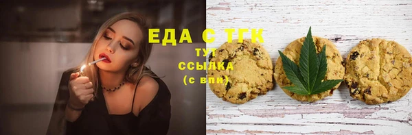 соль ск Дмитриев