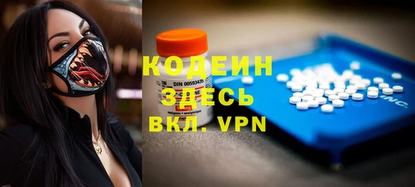 соль ск Дмитриев