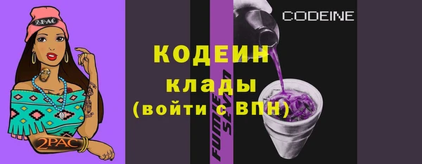 дмт Дмитровск