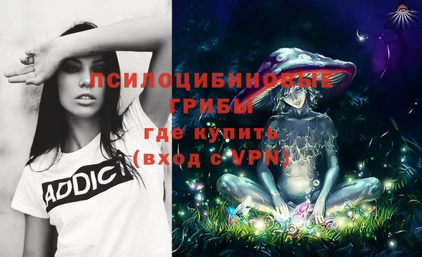 мяу мяу мука Дмитров