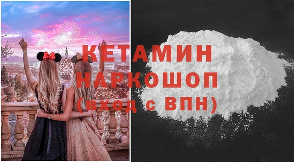 соль ск Дмитриев