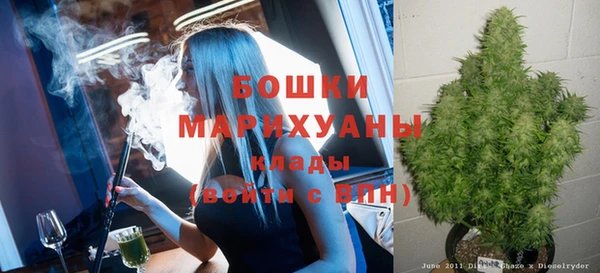 дмт Дмитровск