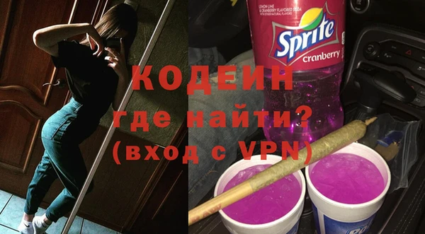 соль ск Дмитриев