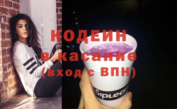 соль ск Дмитриев