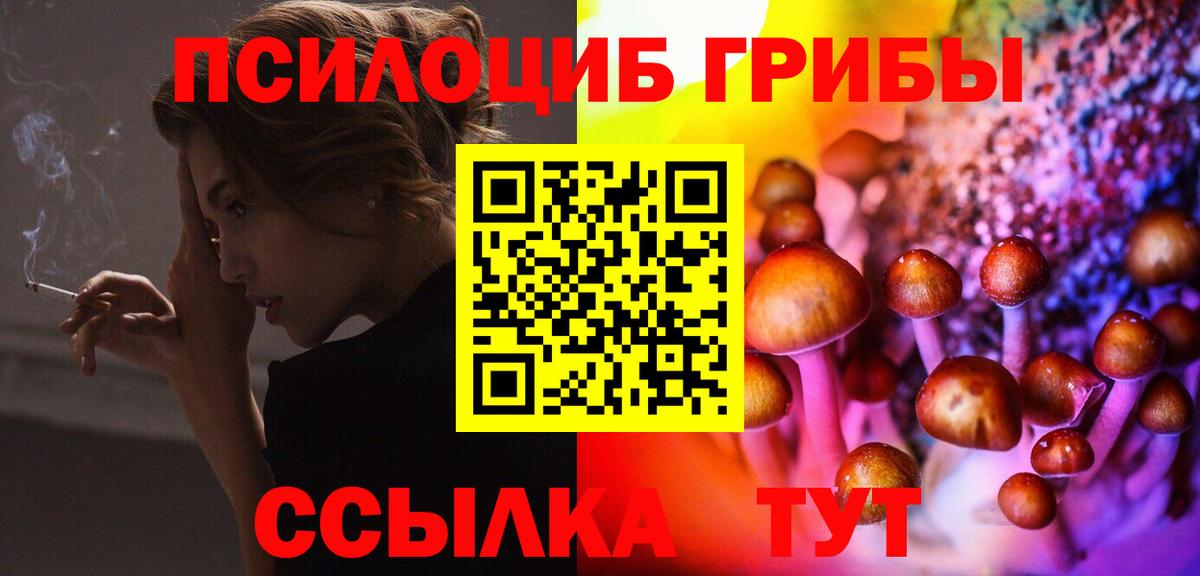 Знаменск  Псилоцибиновые грибы MAGIC MUSHROOMS  Псилоцибиновые грибы Psilocybe  магазин  наркотиков  Вход с VPN 