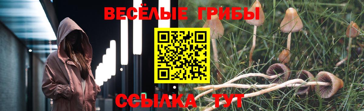 Продажа наркотиков  Cocaine  Марихуана  Меф МЯУ МЯУ кристаллы  МЕФ  А ПВП СОЛЬ   LSD-25  НБОМе  Знаменск  Гашиш  Вход с VPN  Гашиш 